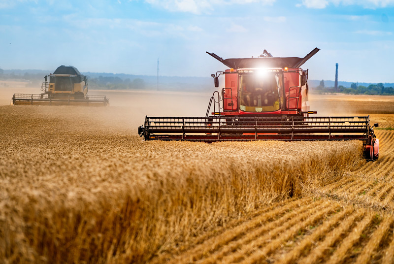 Core Markets Agriculture Agriculture Market